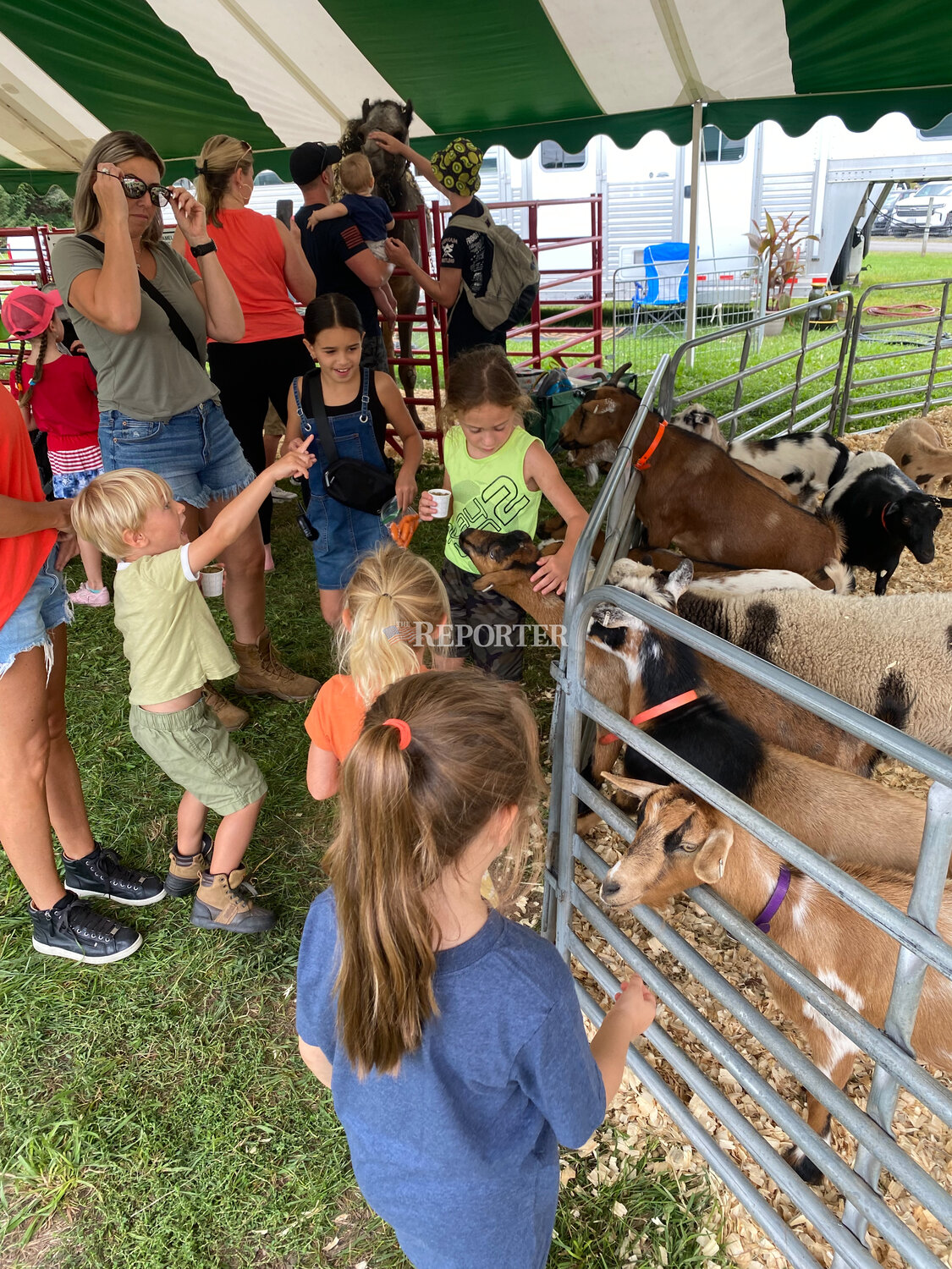 The petting zoo was a fairgoer favorite, Monday, Aug. 14.
